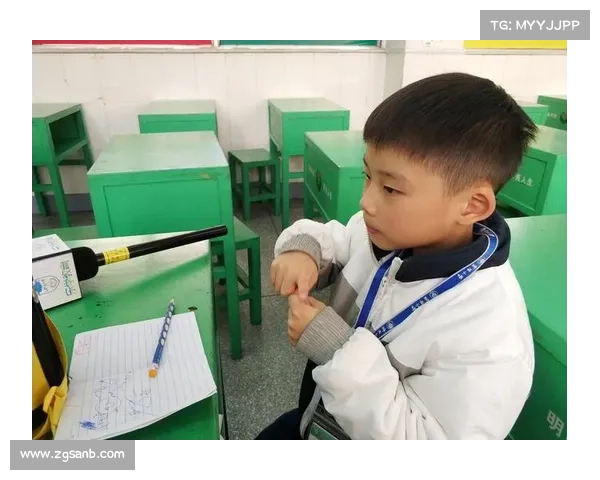 狮鹫驯兽术：关键训练要素揭秘