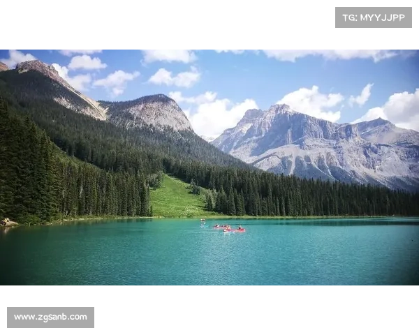 大卫路易斯球场的地理位置解析及其周边环境全景揭秘