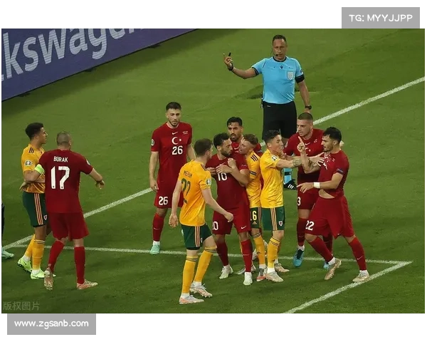 威尔士2016年欧洲杯小组赛狂胜俄罗斯取得历史性突破展现强大实力