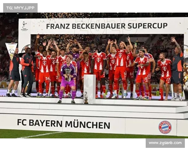 德国超级杯外援球员的关键作用与对比赛格局的深远影响分析 德国超级杯外援球员的关键作用与对比赛格局的深远影响分析