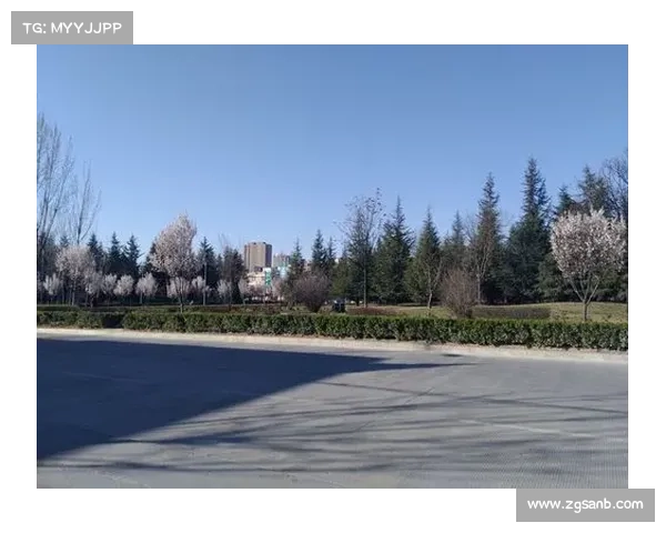 捷克门将传奇背后的故事与人生轨迹你不得不知的秘密